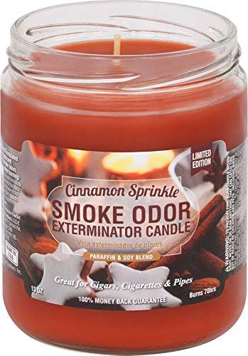 Smoke Odor Exterminator Candle 13oz Cinnamon Sprinkle