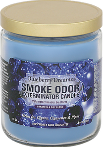 Smoke Odor Exterminator Candle 13oz Blueberry Dreamz