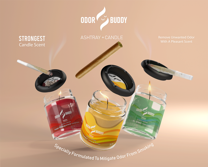 Odor Buddy CANDLE & ASHTRAY IN ONE