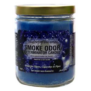 Smoke Odor Exterminator Candle 13oz Blueberry Dreamz